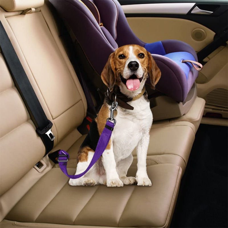 Adjustable Dog Car Safety Belt